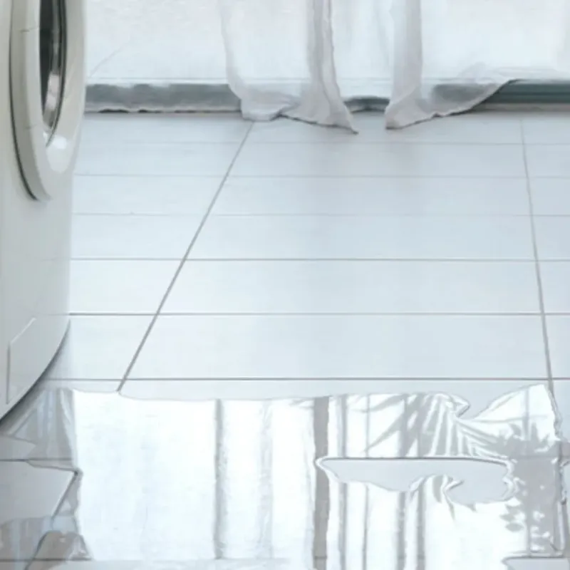 Appliance Leak Cleanup in Carthage, MO