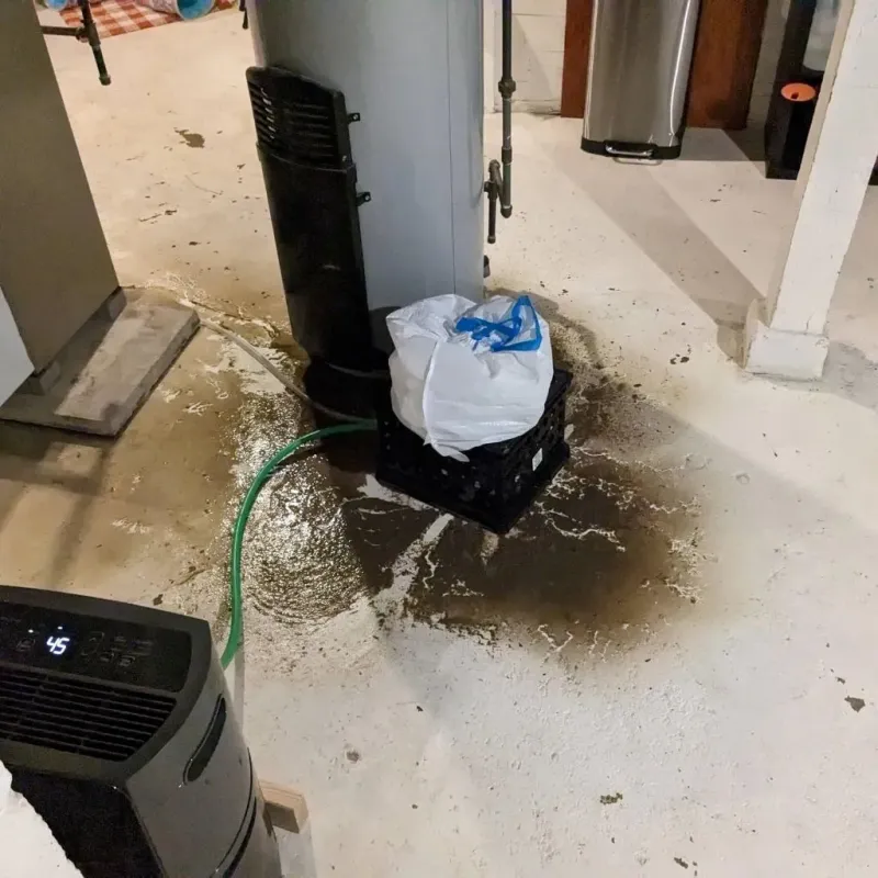 Sewage Backup Cleanup Service in Carthage, MO